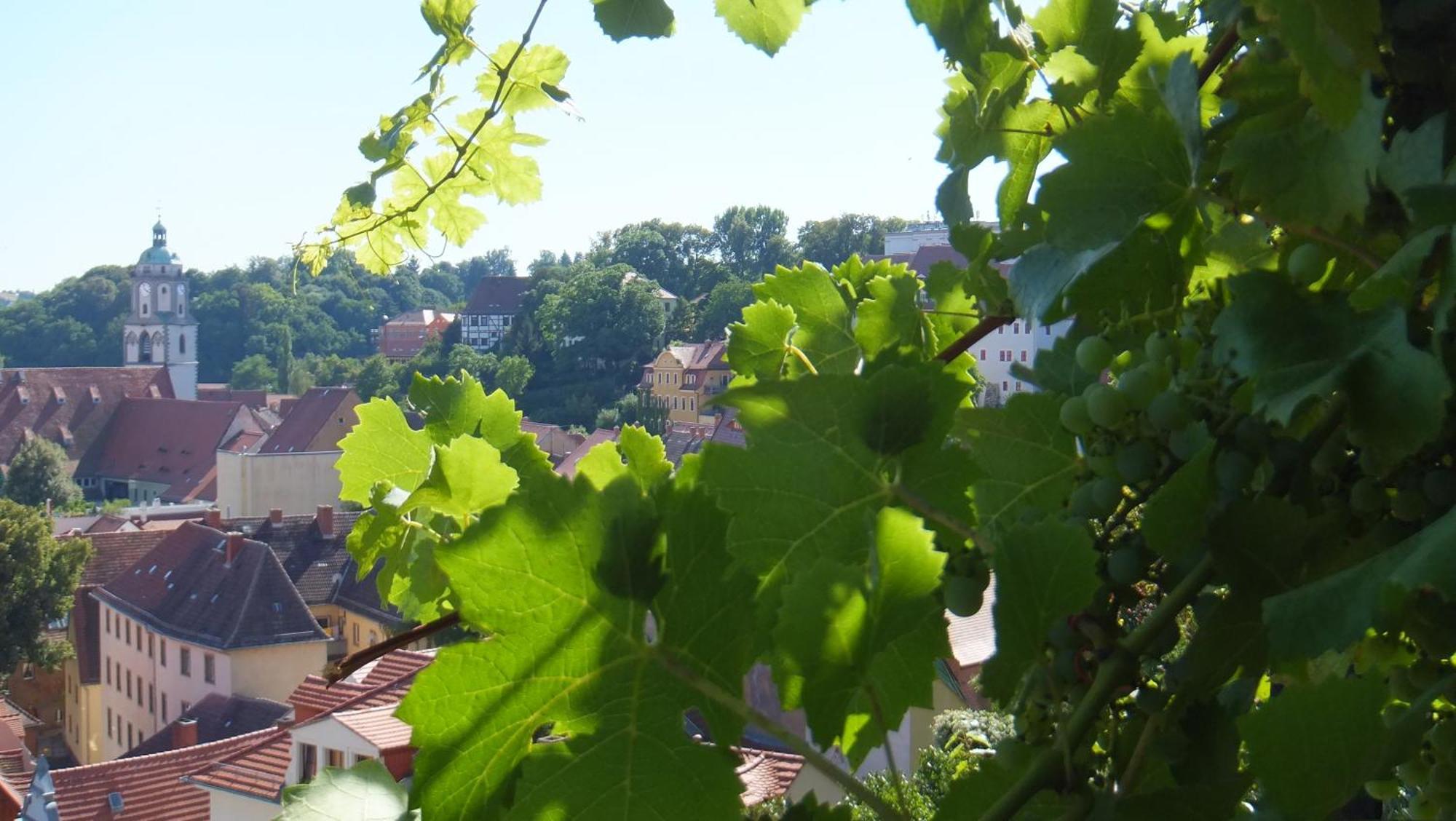 Hotel Schlossberg Meißen المظهر الخارجي الصورة