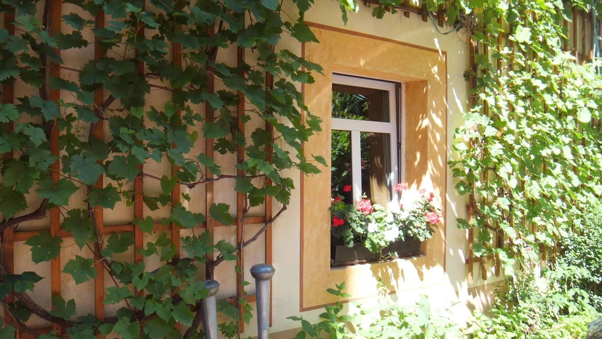 Hotel Schlossberg Meißen المظهر الخارجي الصورة